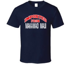 Imported From City New Mexico Sports Team Trade Customizable T Shirt