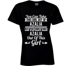 You Can Take The Girl Out Of Azalia Michigan But Can't Take The City O