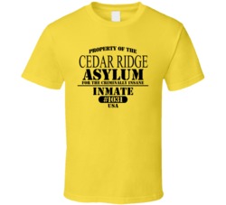 City Insane Asylum Inmate Halloween Costume Customizable T Shirt