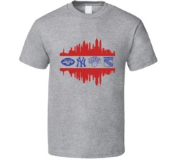 New York 2 City All Professional Sports Teams Super Fan T Shirt