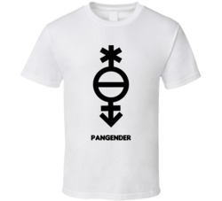 Pangender Non Binary Idenity Lgbtq Symbol T Shirt