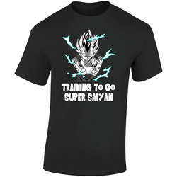 Training Sp Saiyan Vegeta 2 Black Retro Graphic Unisex Soft Cotton Black T Shirt