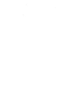 https://s3.us-west-1.wasabisys.com/ecart-content/lovemytowntees.com/overlays/384/048/38404880.png img