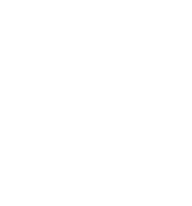 https://s3.us-west-1.wasabisys.com/ecart-content/lovemytowntees.com/overlays/384/132/38413277.png img