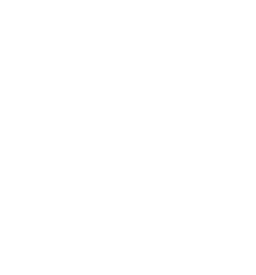 https://s3.us-west-1.wasabisys.com/ecart-content/lovemytowntees.com/overlays/384/133/38413313.png img