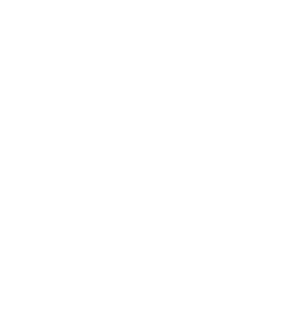https://s3.us-west-1.wasabisys.com/ecart-content/lovemytowntees.com/overlays/384/133/38413340.png img