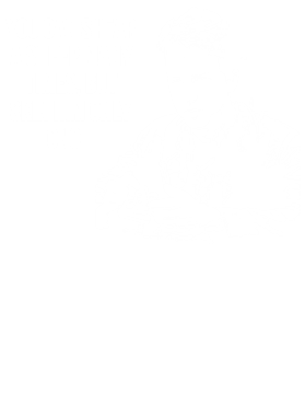 https://s3.us-west-1.wasabisys.com/ecart-content/lovemytowntees.com/overlays/384/777/38477767.png img