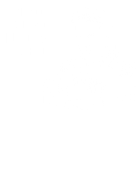https://s3.us-west-1.wasabisys.com/ecart-content/lovemytowntees.com/overlays/384/777/38477770.png img