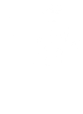 https://s3.us-west-1.wasabisys.com/ecart-content/lovemytowntees.com/overlays/384/777/38477786.png img