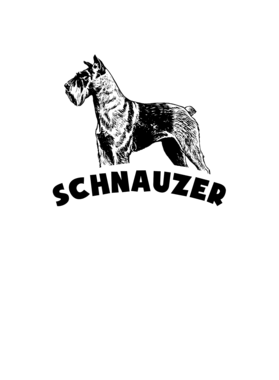 https://s3.us-west-1.wasabisys.com/ecart-content/lovemytowntees.com/overlays/385/521/38552140.png img