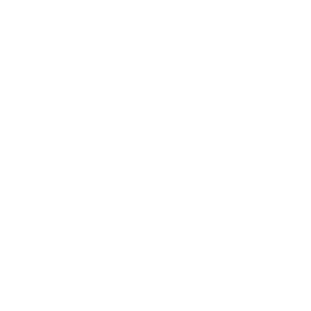 https://s3.us-west-1.wasabisys.com/ecart-content/lovemytowntees.com/overlays/401/498/40149831.png img