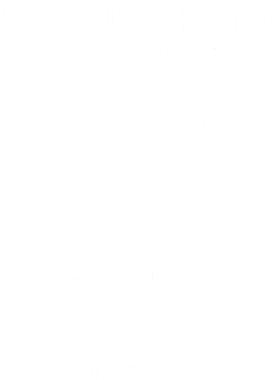 https://s3.us-west-1.wasabisys.com/ecart-content/lovemytowntees.com/overlays/401/498/40149844.png img