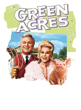 https://s3.us-west-1.wasabisys.com/ecart-content/lovemytowntees.com/overlays/403/384/40338453.png img