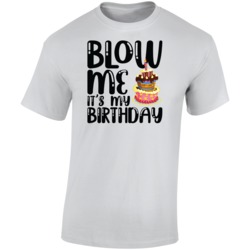 Blow Me It's My Birtday Funny T Shirt