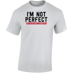I'm Not Perfect But I'm So Close It Scares Me Funny T Shirt