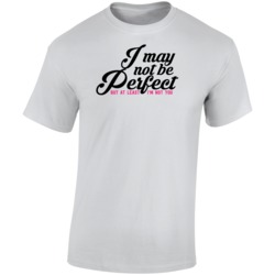 I May Not Be Perfect But At Least I'm Not You Funny T Shirt