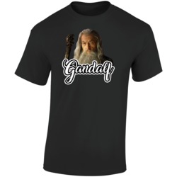 Gandalf Lord Of The Rings Best Movie Character T Shirt Gandalf Lord Of The Rings Best Movie Character T Shirt