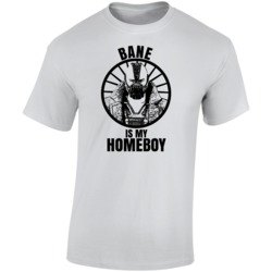 Bane Is My Homeboy Harley Quinn Funniest Television Character Tv Show Bane Is My Homeboy Harley Quinn Funniest Television Character Tv Show
