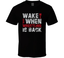 Wake Me Up When Wrestling Is Back T Shirt Wake Me Up When Wrestling Is Back T Shirt