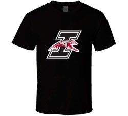Uindy Indianapolis Greyhounds Ncaa Logo T Shirt