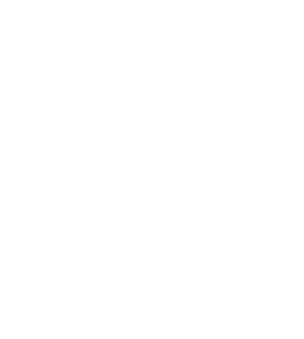 https://s3.us-west-1.wasabisys.com/ecart-content/mybirthdayshirt.com/overlays/384/415/38441564.png img