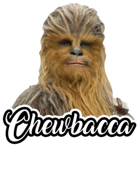 https://s3.us-west-1.wasabisys.com/ecart-content/mybirthdayshirt.com/overlays/384/421/38442166.png img