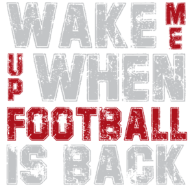 https://s3.us-west-1.wasabisys.com/ecart-content/mybirthdayshirt.com/overlays/384/426/38442683.png img