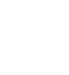 https://s3.us-west-1.wasabisys.com/ecart-content/mybirthdayshirt.com/overlays/384/433/38443347.png img