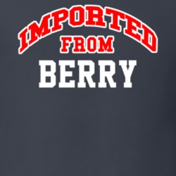 Imported From Berry Alabama Sports Team Trade T Shirt