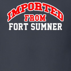 Imported From Fort Sumner New Mexico Sports Team Trade T Shirt