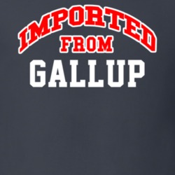 Imported From Gallup New Mexico Sports Team Trade T Shirt