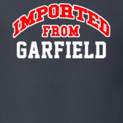 Imported From Garfield New Mexico Sports Team Trade T Shirt