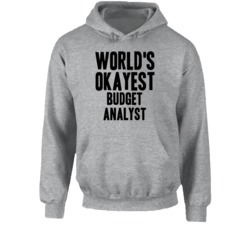 World's Okayest Budget Analyst Funny Job Occupation Career Hooded Pull