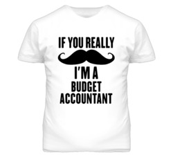If You Really Moustache I'm A Budget Accountant Funny T Shirt