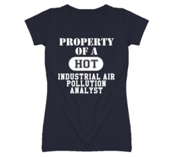 Property Of A Hot Industrial Air Pollution Analyst Funny Job T Shirt