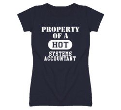 Property Of A Hot Systems Accountant Funny Job T Shirt