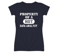 Property Of A Hot Data Analyst Funny Job T Shirt