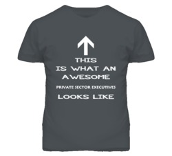 Private Sector Executives Looks Like Arrow Simple T Shirt