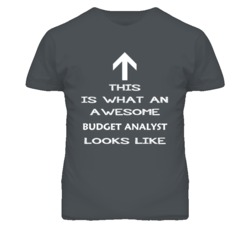 Budget Analyst Looks Like Arrow Simple T Shirt