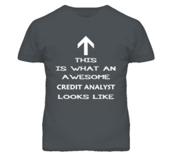 Credit Analyst Looks Like Arrow Simple T Shirt