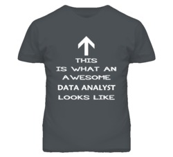 Data Analyst Looks Like Arrow Simple T Shirt