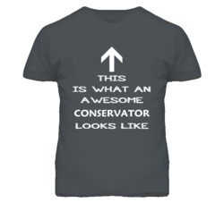 Conservator Looks Like Arrow Simple T Shirt