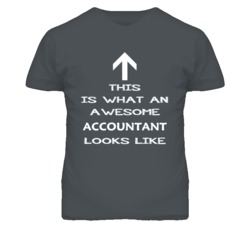 Accountant Looks Like Arrow Simple T Shirt