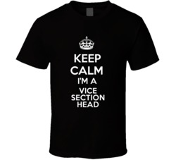 I'm a Vice Section Head Keep Calm Job Funny T Shirt