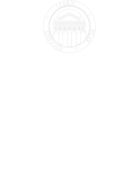 https://s3.us-west-1.wasabisys.com/ecart-content/occupationtshirts.com/overlays/171/098/17109837.png img