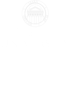 https://s3.us-west-1.wasabisys.com/ecart-content/occupationtshirts.com/overlays/171/119/17111933.png img