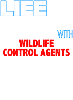 https://s3.us-west-1.wasabisys.com/ecart-content/occupationtshirts.com/overlays/171/131/17113166.png img