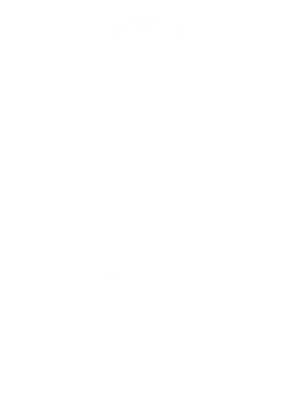 https://s3.us-west-1.wasabisys.com/ecart-content/occupationtshirts.com/overlays/172/000/17200089.png img