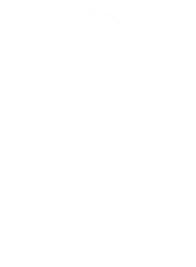 https://s3.us-west-1.wasabisys.com/ecart-content/occupationtshirts.com/overlays/172/001/17200121.png img