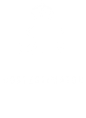 https://s3.us-west-1.wasabisys.com/ecart-content/occupationtshirts.com/overlays/172/004/17200466.png img